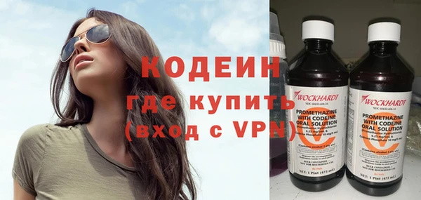 индика Верея