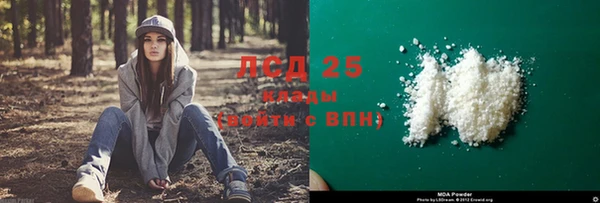 индика Верея