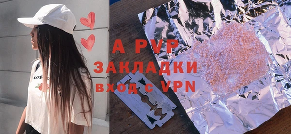 индика Верея