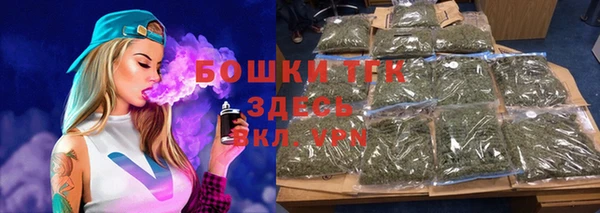 индика Верея