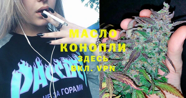 индика Верея