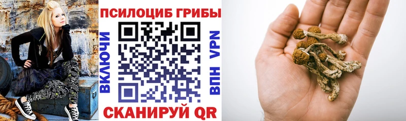 Псилоцибиновые грибы прущие грибы  дарк нет клад  Кировск 